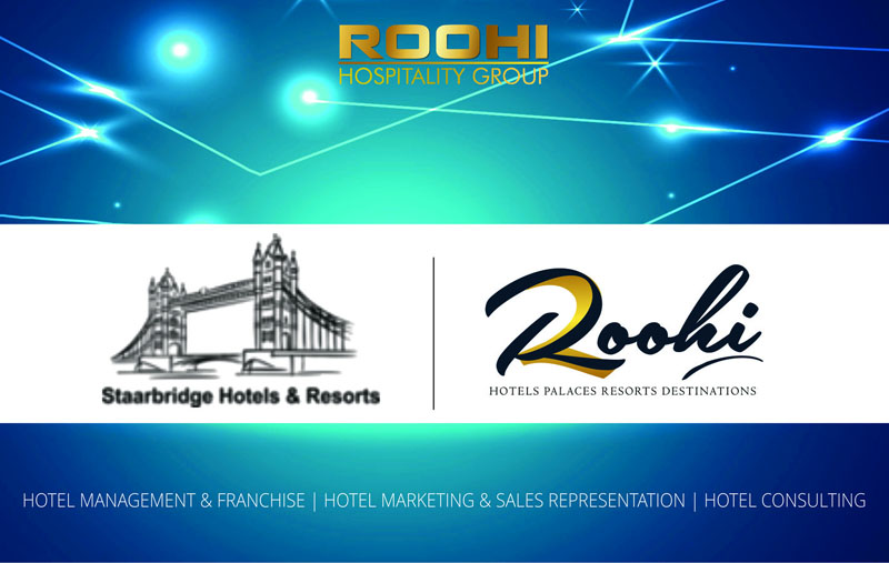 News & Blogs